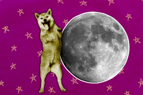 Terra (LUNA) Loses its Position to Dogecoin (DOGE) as Slump Worsens