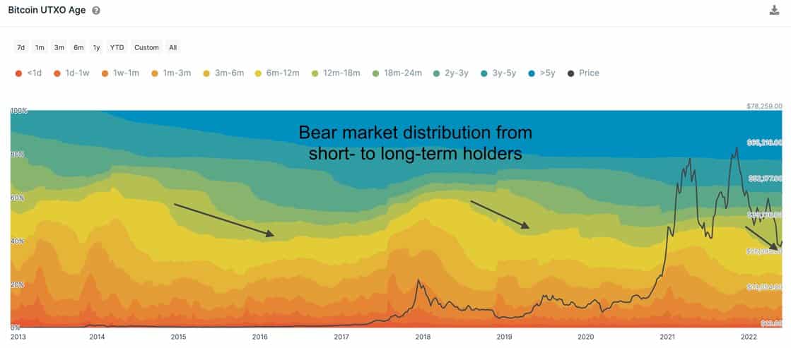 Bitcoin long-term holders accumulating during bear market